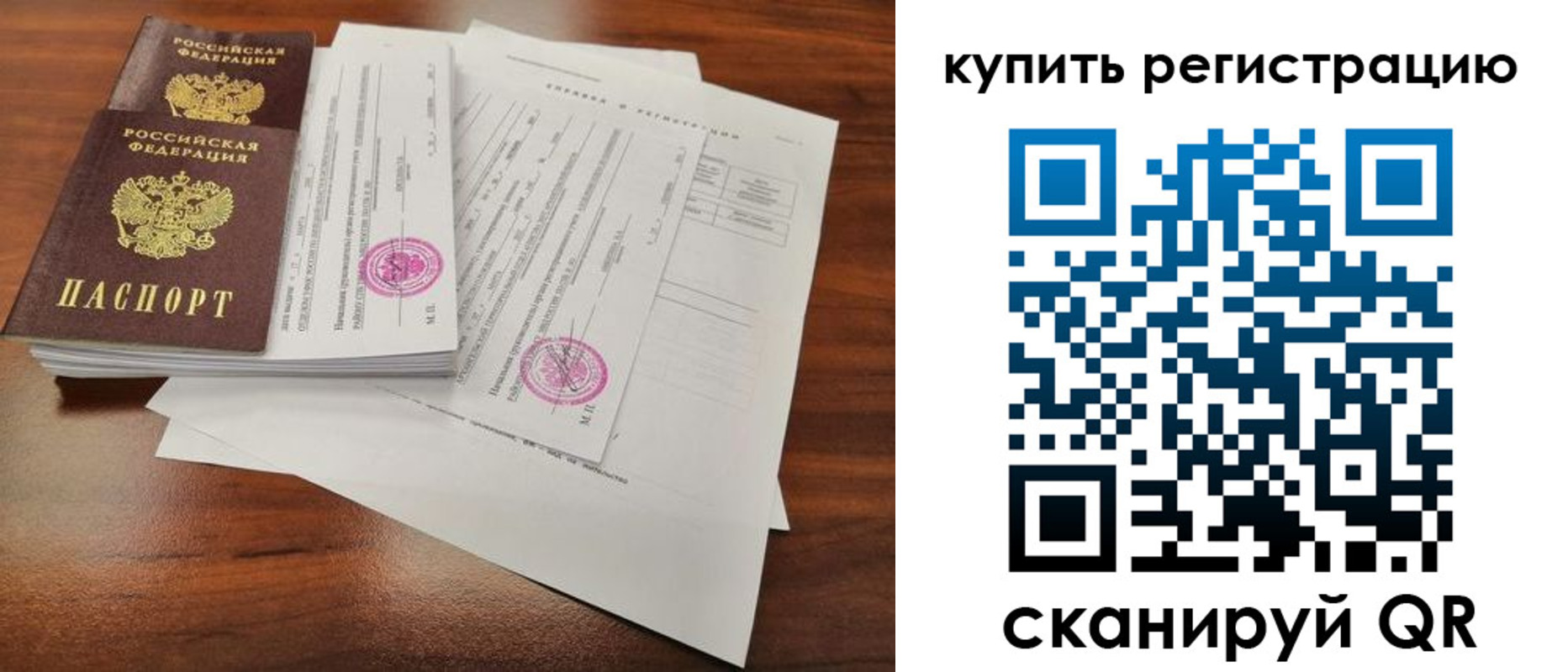 прописка поиск в Смоленской области